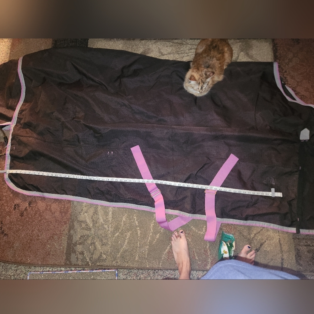 Large Horse Blanket Purple And Black